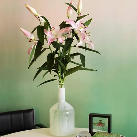 فندق مبيت وإفطار Nicola أمستردام