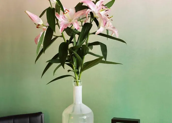 Bed & Breakfast Nicola Amsterdam